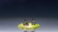 Excarat (Image via Kuro Games)